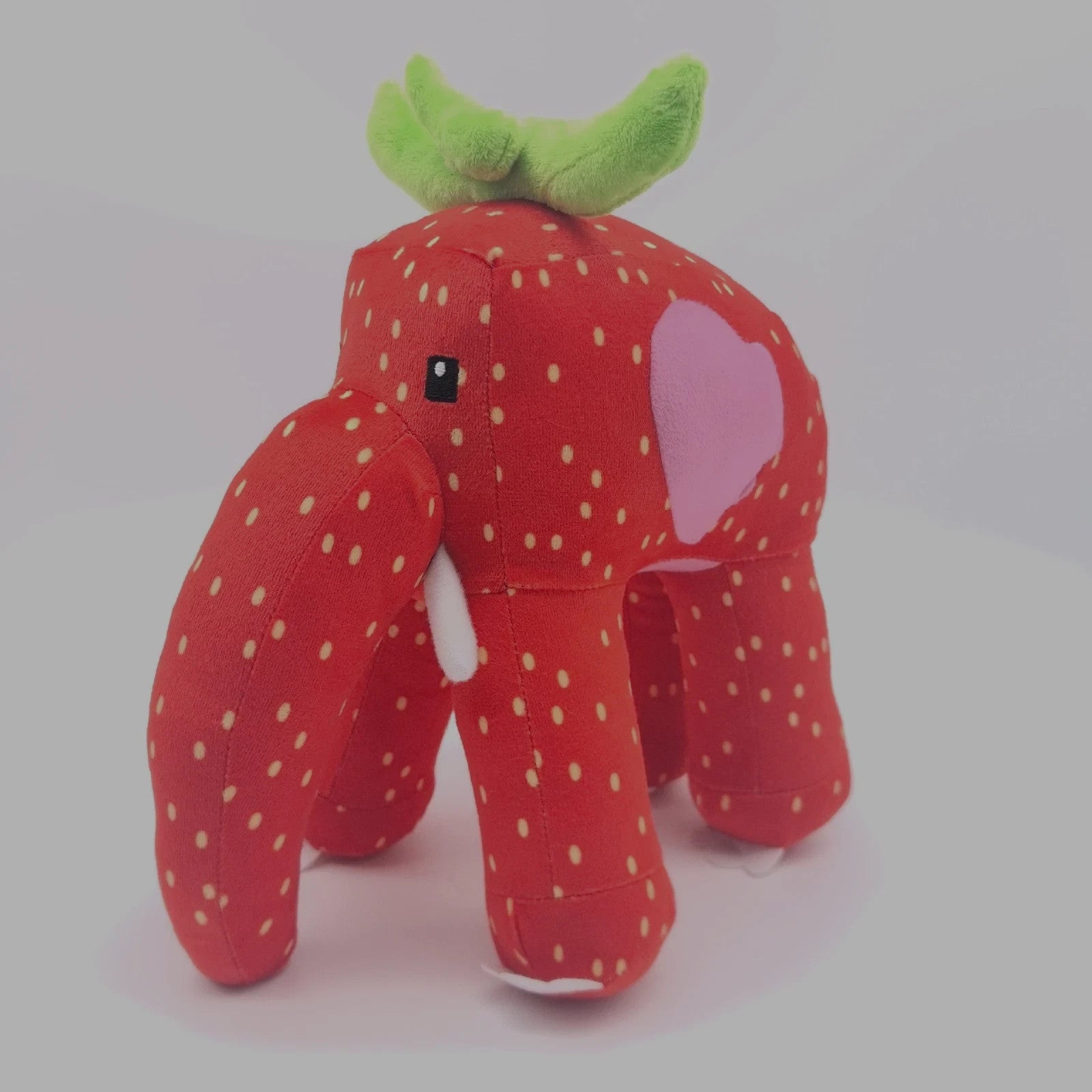 8737877b5aa3c2c5b995a5bdf9df0212