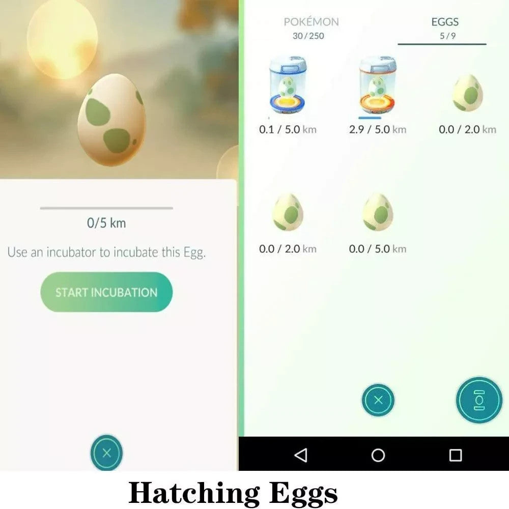 30ad1fab81329ee523f0e81377c800cd